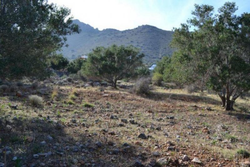 Schisma Eloundas Grundstück am Meer in Touristengebiet zum Verkauf auf Kreta Grundstück kaufen